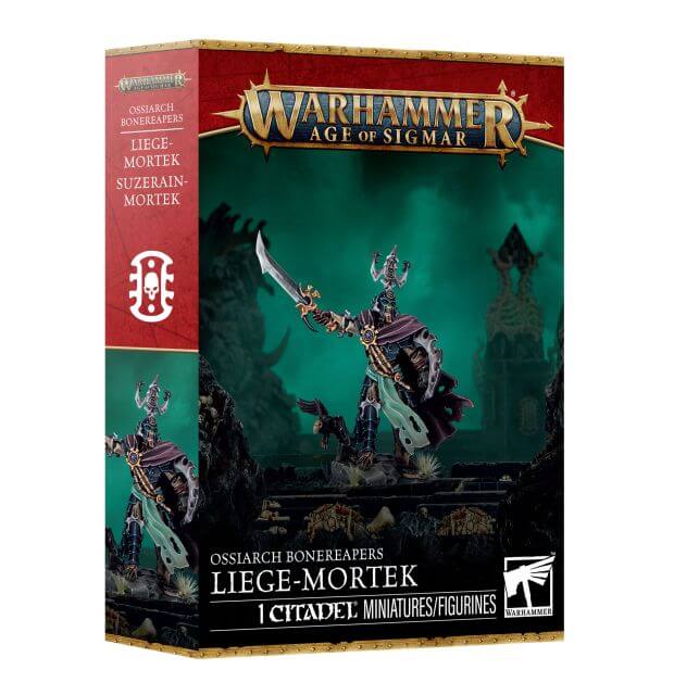 Warhammer Age of Sigmar game box with character illustration on a white background